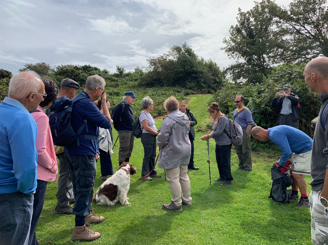 socialwalksep2019