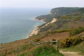 Warren Glen Looking west to Fairlight Glen